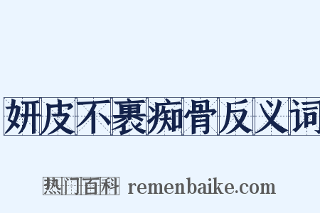 妍皮不裹痴骨反义词是什么意思的图片